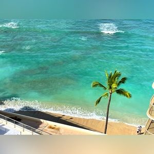 Live Auction Item -Bulk Sale🌺